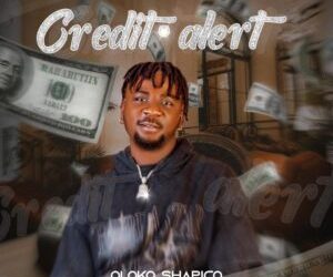 OLOKO SHAPICO – CREDIT ALERT