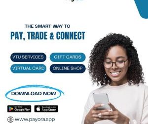 Payora: Transforming Financial Services Across Africa