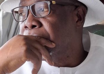 Beyond Politics: The Intellectual and Legislative Footprint of Hon. Prof. Julius Ihonvbere