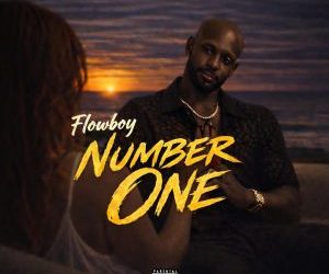 Flowboy – Number One Mp3 Download